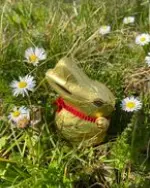 restaurant-schwaebischhall-saal160personen-veranstaltung restaurant-schwaebischhall-saal160personen-veranstaltung